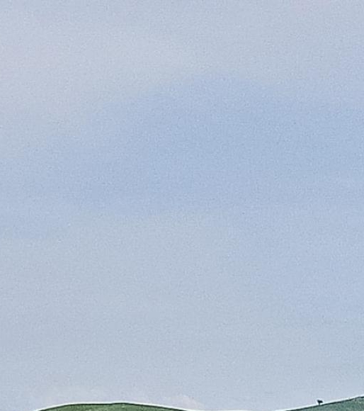 粉象生活如何升级vip