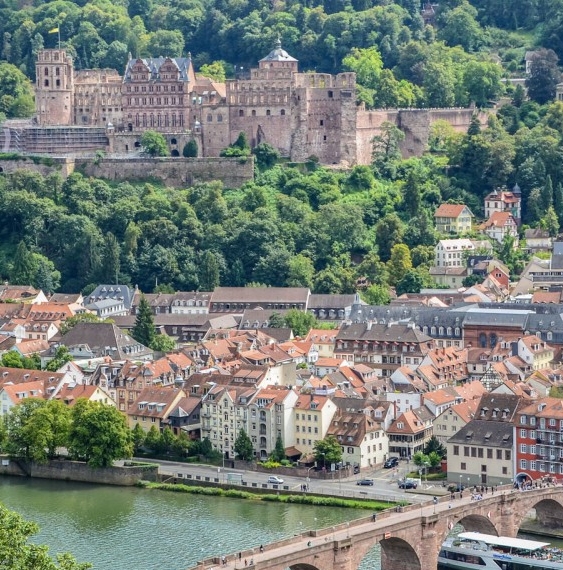 广东粉象生活如何使用