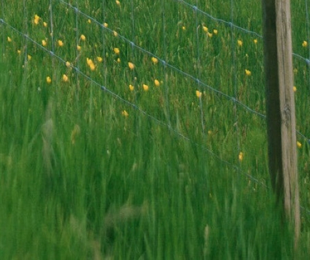 粉象生活骗局吗