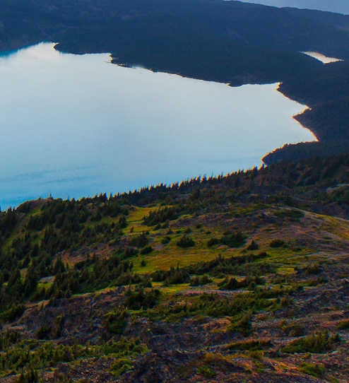 浙江口碑粉象生活软件