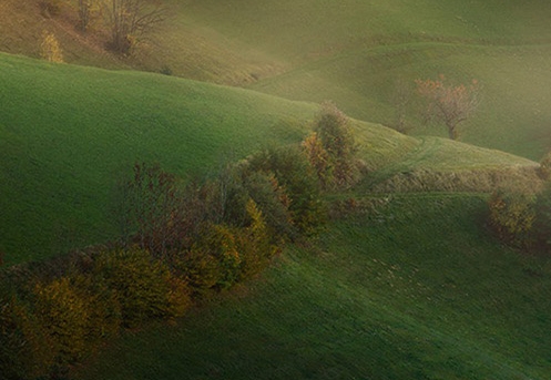 粉象生活合法吗