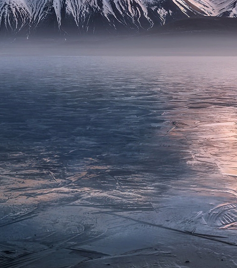 粉象生活推广引流软件