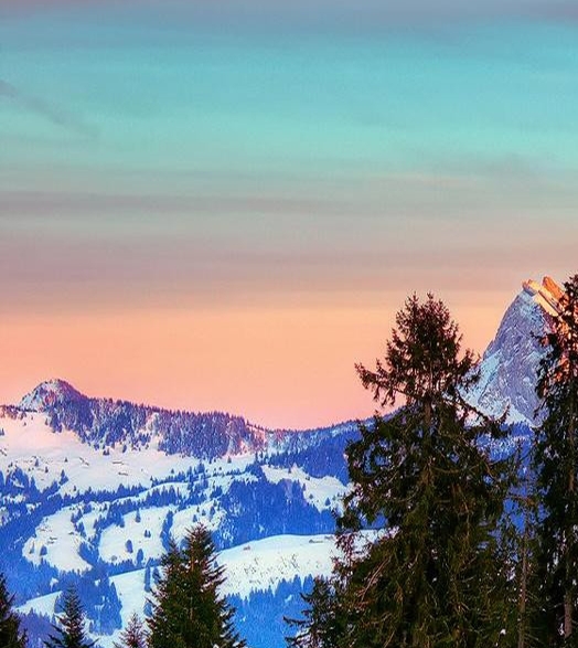 粉象生活怎么赚钱的