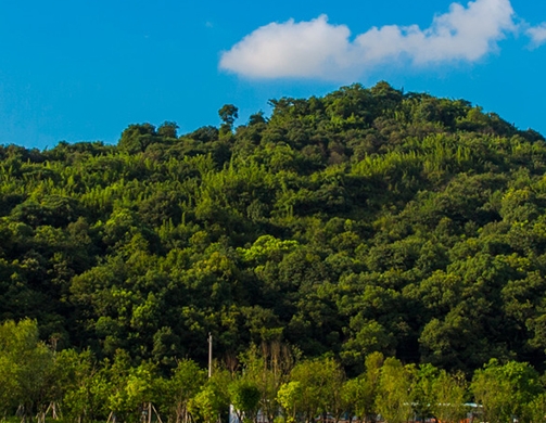 粉象生活骗局?揭密很多人被骗!说说他们的亲身经历!