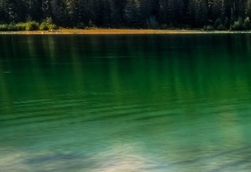 粉象生活是什么东西,真的靠谱吗