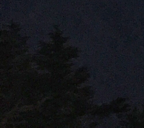 粉象生活课程讲解