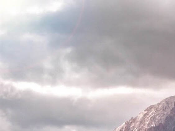 湖北高端粉象生活