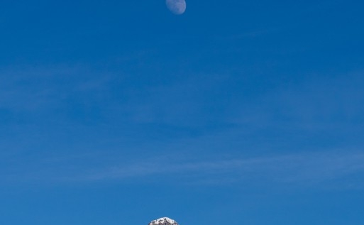 佛山粉象生活合伙人