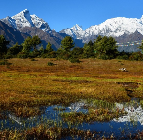 福建高端粉象生活app