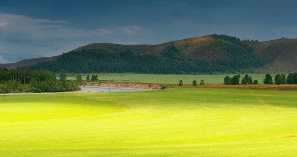 粉象生活官方代理
