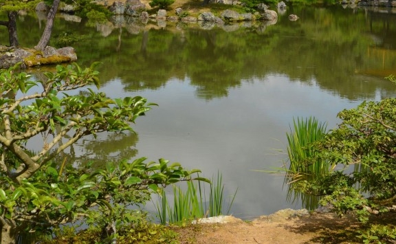 粉象生活邀请码