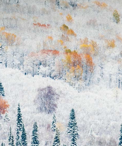 粉象生活淘宝怎么授权不了