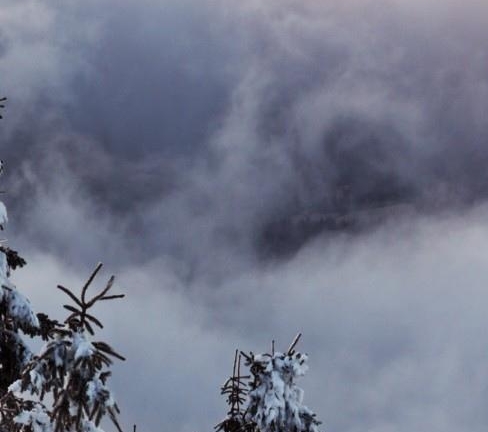 粉象生活是个什么东西