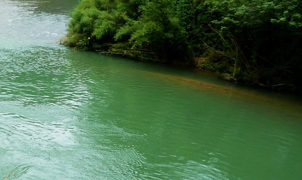 粉象生活粉丝积分怎么来的