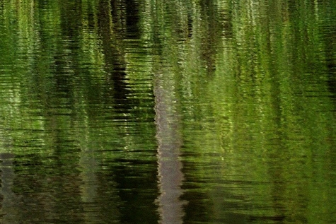 如何开通建行生活卡