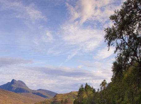 粉象生活是正规平台吗