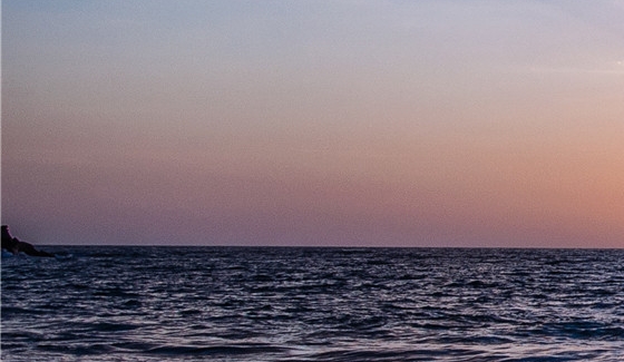 盘锦粉象生活app