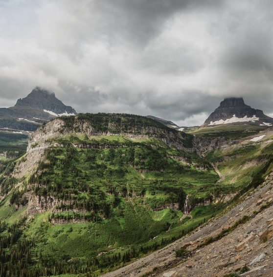 粉象生活日推广50人