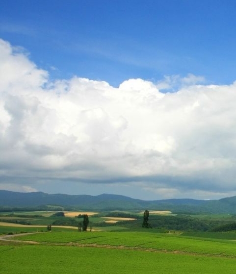 杭州粉象生活公司