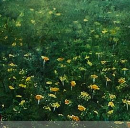 粉象生活怎么赚钱的