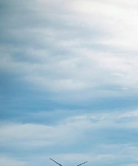 粉象生活平台费用