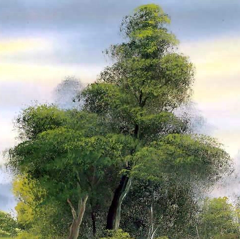 粉象生活平台合法吗?