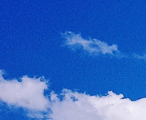 你们是怎么推广粉象的