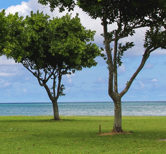 淮安粉象生活vip