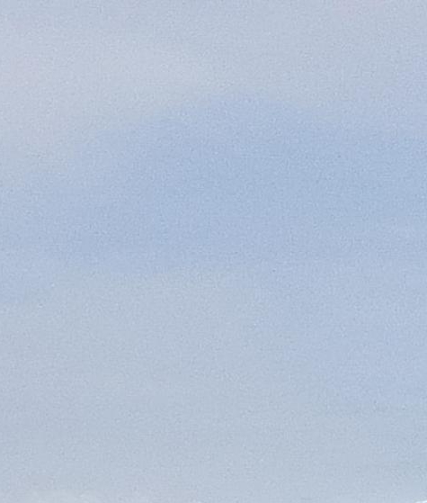 粉象生活团队注册条件要求