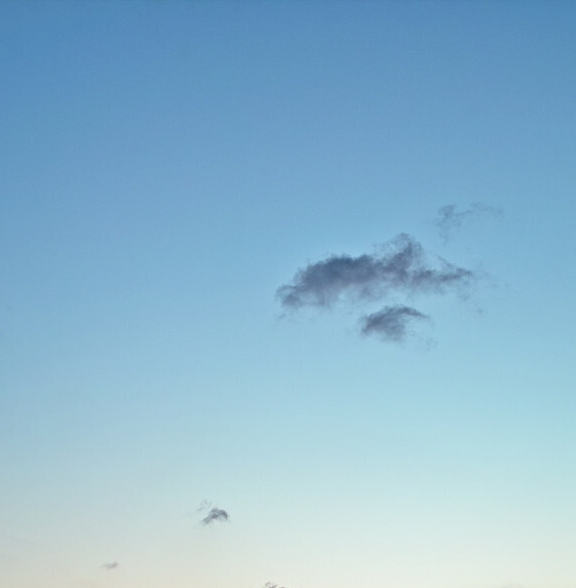 粉象生活礼包制度