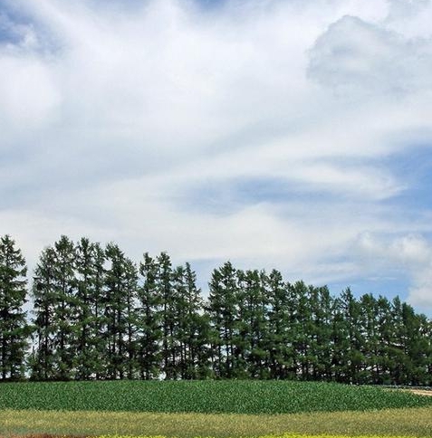 脱贫攻坚生活变化作文