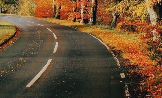 浙江创新粉象生活是什么