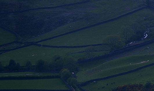 无锡粉象生活收入