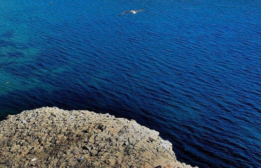 韶关粉象生活积分