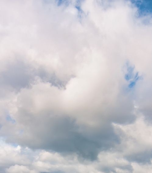 浙江加盟粉象生活