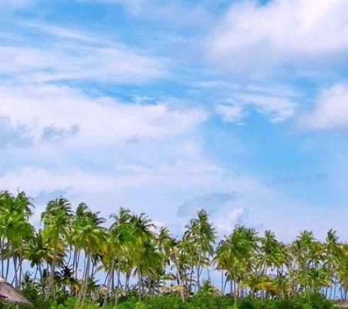 粉象生活怎么赚钱