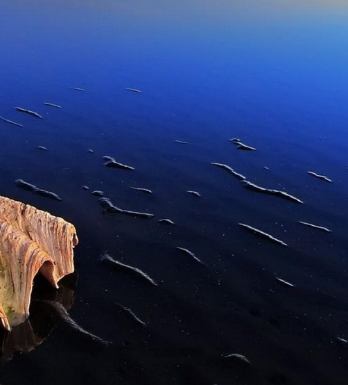 珠海粉象生活图片