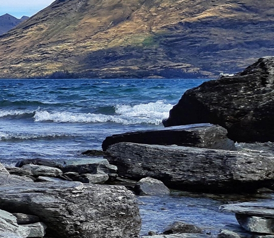 粉象生活战略布局