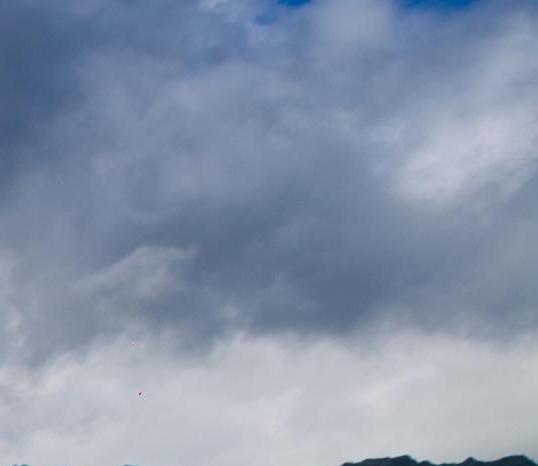 阳江粉象生活可信吗