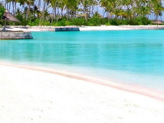 湖北粉象生活教程