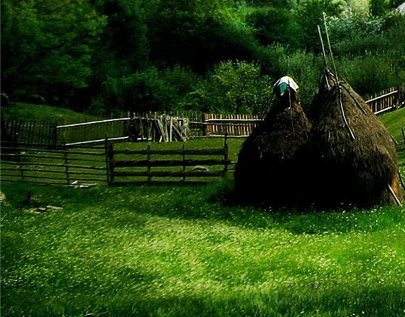 粉象生活需要实名认证吗