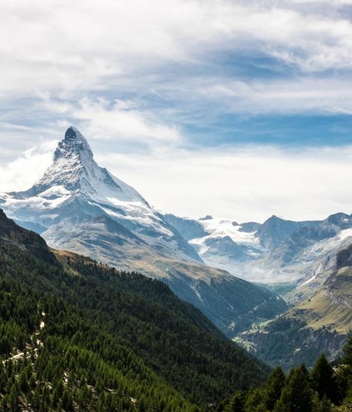 粉象生活可以赚钱吗