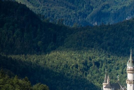 粉象生活怎么赚钱的