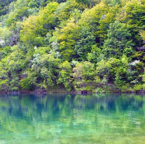 茂名粉象生活电话