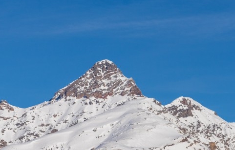 粉象生活到底能不能做