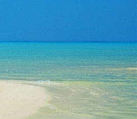 粉象生活投资前景