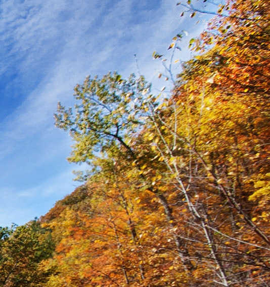 粉象生活反复下载
