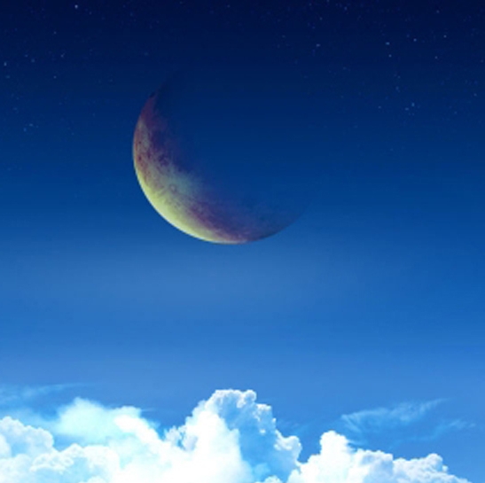 粉象生活邀请码