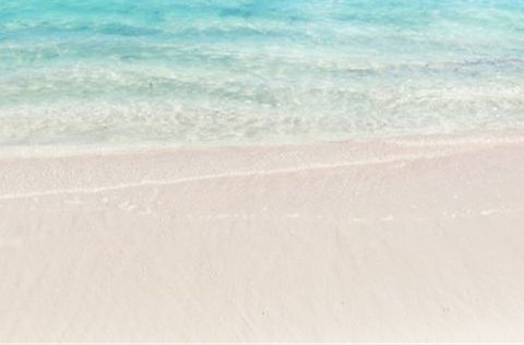 粉象生活如何赚钱