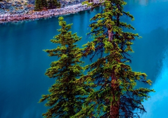 粉象生活赚钱教程